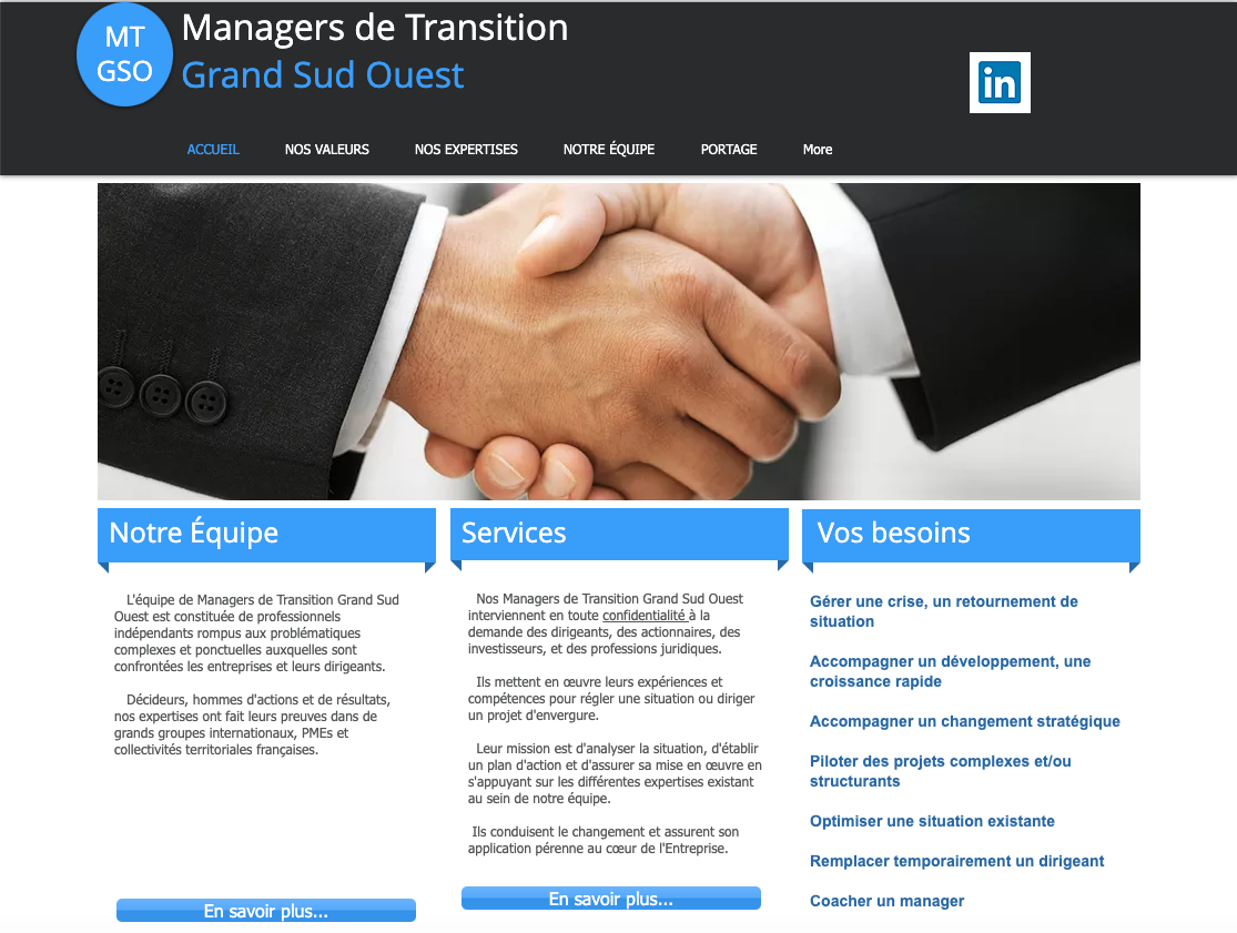 Capture du site de MT GSO (Managers de Transition du Grand Sud Ouest​)