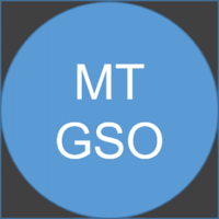 MT GSO (Managers de Transition du Grand Sud Ouest​)